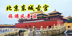 骚少妇性爱视频中国北京-东城古宫旅游风景区